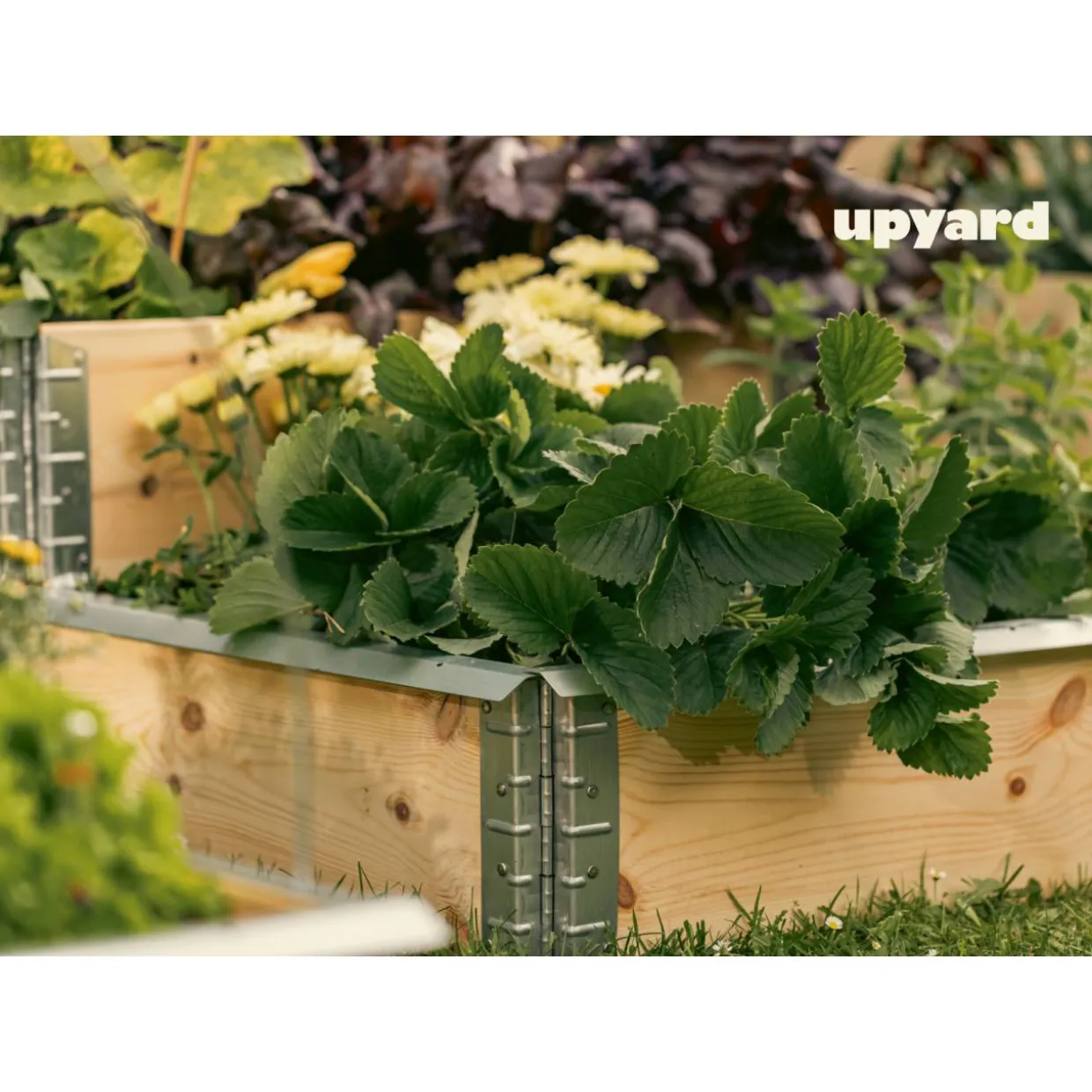 Viljelylaatikko Upyard Gardenbox 120x80 cm, käsittelemätön