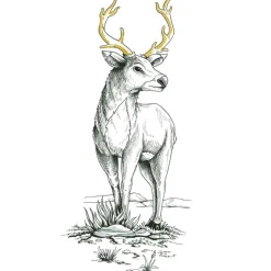 Värikynäsetti Staedtler 5 kpl pigment liner