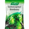 Yrttipastilli A. Vogel 100 g Santasapina